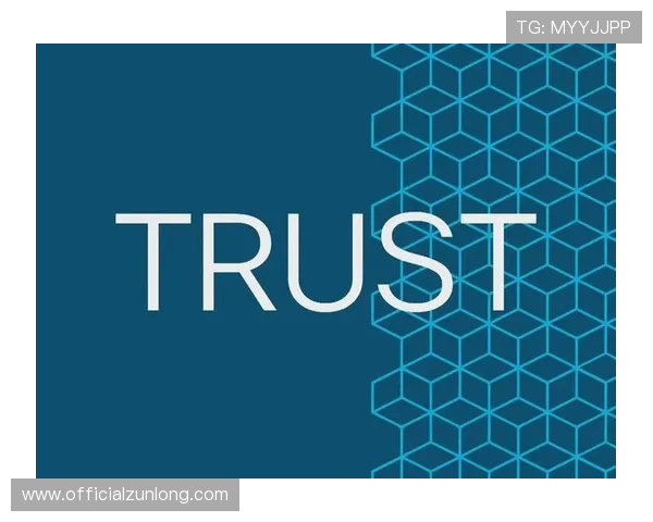 尊龙旗舰厅登录线路安全风险防范措施，保障用户信息安全的实用建议