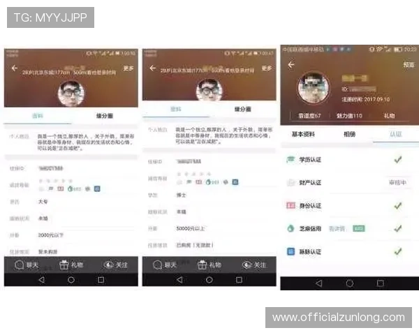 尊龙网址集团官网查询流程全攻略确保用户轻松访问官方平台